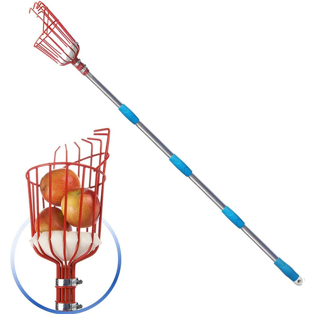 Cycle Zone - Recolector de Frutas de 260 cm,