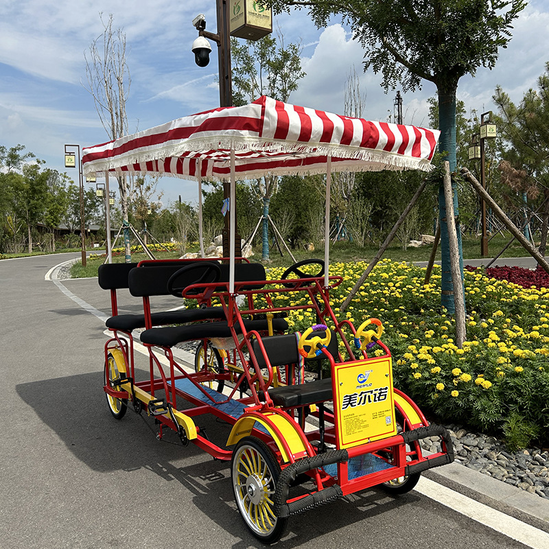 Bicicleta de cuatro ruedas, cu - Cycling Quads reseña y precio