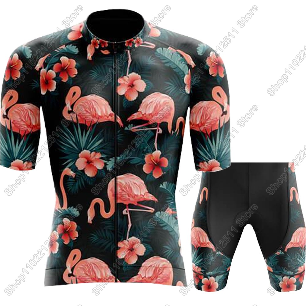 Conjunto de Jersey de ciclismo - Cycling Gear Jersey reseña y precio